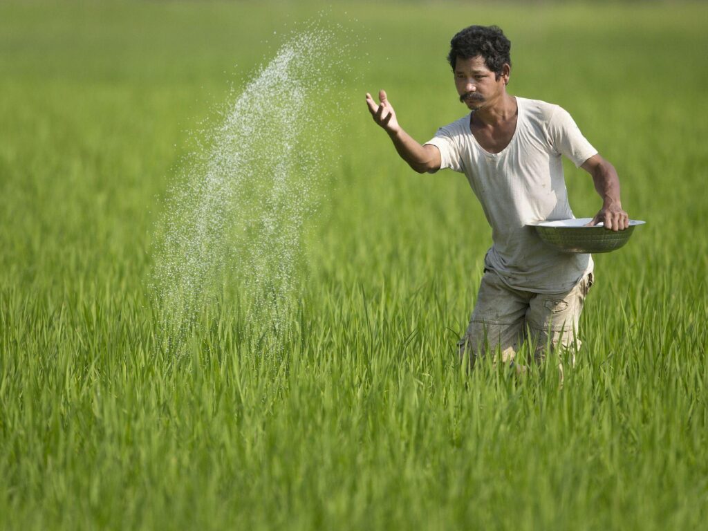 Indian Farmer in his fields