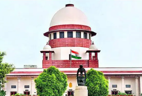 A pack of stray dogs on a city street as India’s Supreme Court pulls up states and Union Territories over their failure to control the growing menace summoning Chief Secretaries to appear on November 3 to explain lapses in compliance.(PC: India Today)