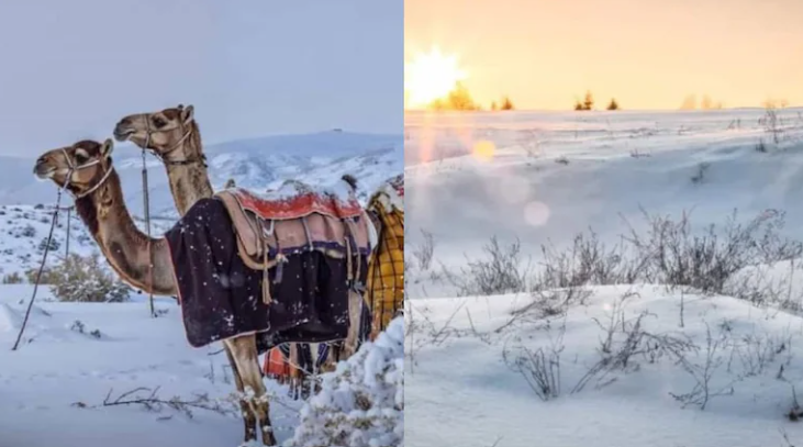 Snow blankets Saudi Arabia’s desert landscape as rare winter snowfall transforms regions like Tabuk and Jabal Al-Lawz into a striking white wonderland, drawing tourists and weather enthusiasts. (PC: NDTV)